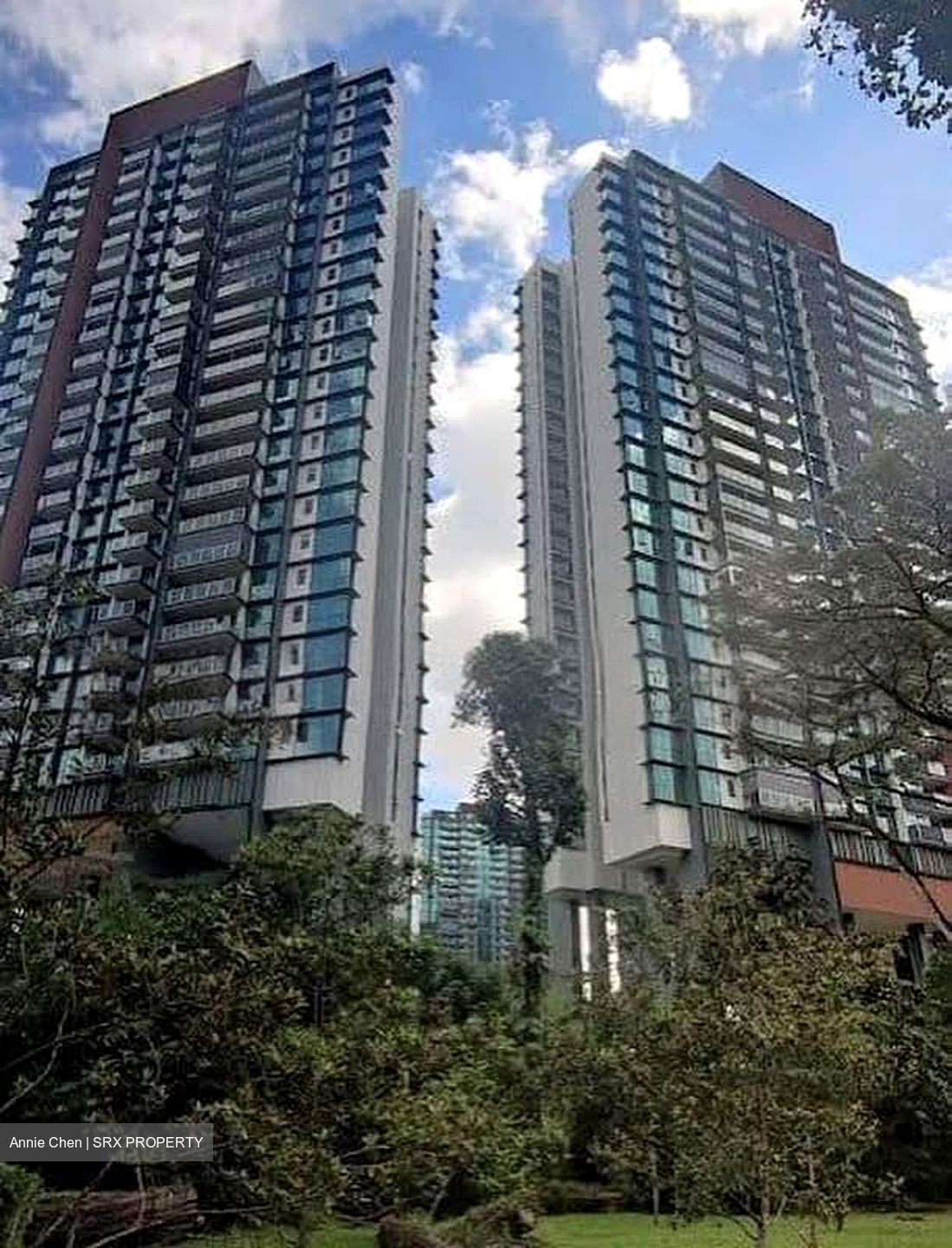 Normanton Park (D5), Apartment #588334331